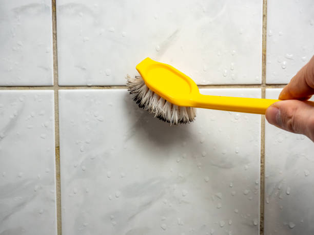 Best Residential Mold Remediation in El Lago, TX